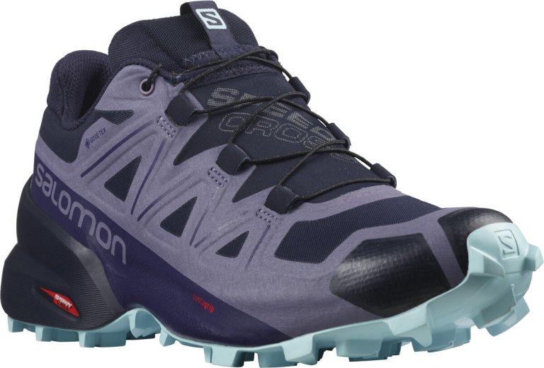 Взуття Salomon Speedcross 5 GTX W - фіолетовий/синій