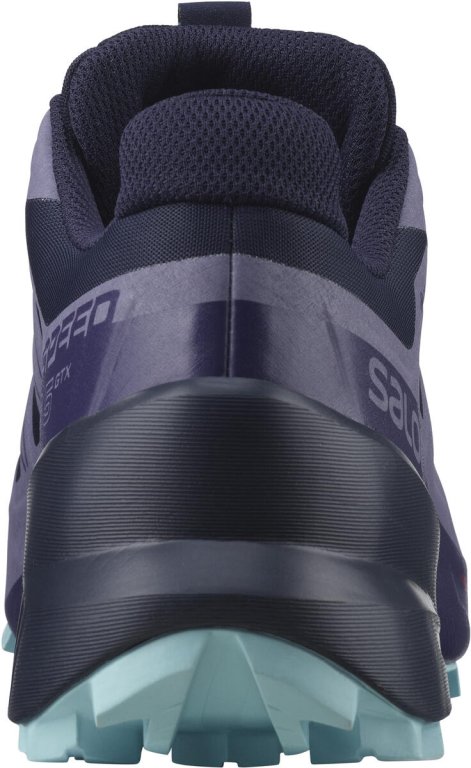 Взуття Salomon Speedcross 5 GTX W - фіолетовий/синій