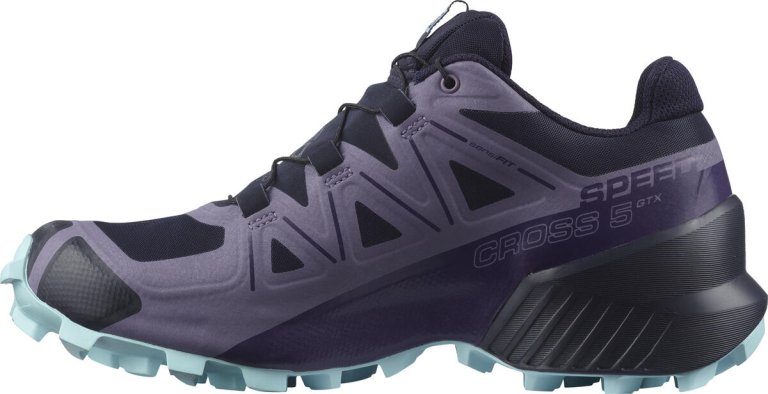 Взуття Salomon Speedcross 5 GTX W - фіолетовий/синій