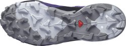 Взуття Salomon CROSS HIKE GTX W - фіолетовий