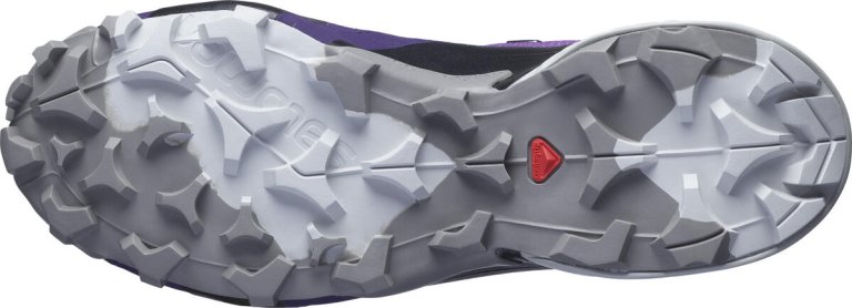 Взуття Salomon CROSS HIKE GTX W - фіолетовий