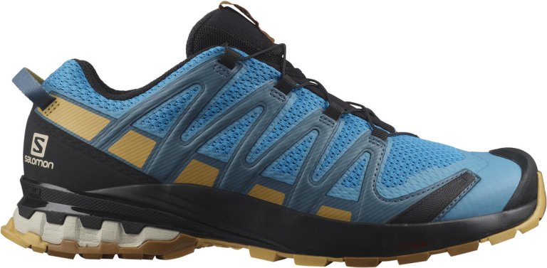 Кросівки Salomon Xa Pro 3D v8 M - блакитні/сині/бежеві