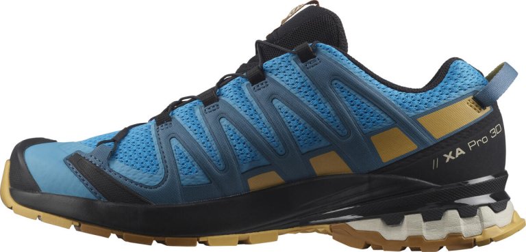 Кросівки Salomon Xa Pro 3D v8 M - блакитні/сині/бежеві