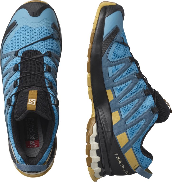 Кросівки Salomon Xa Pro 3D v8 M - блакитні/сині/бежеві