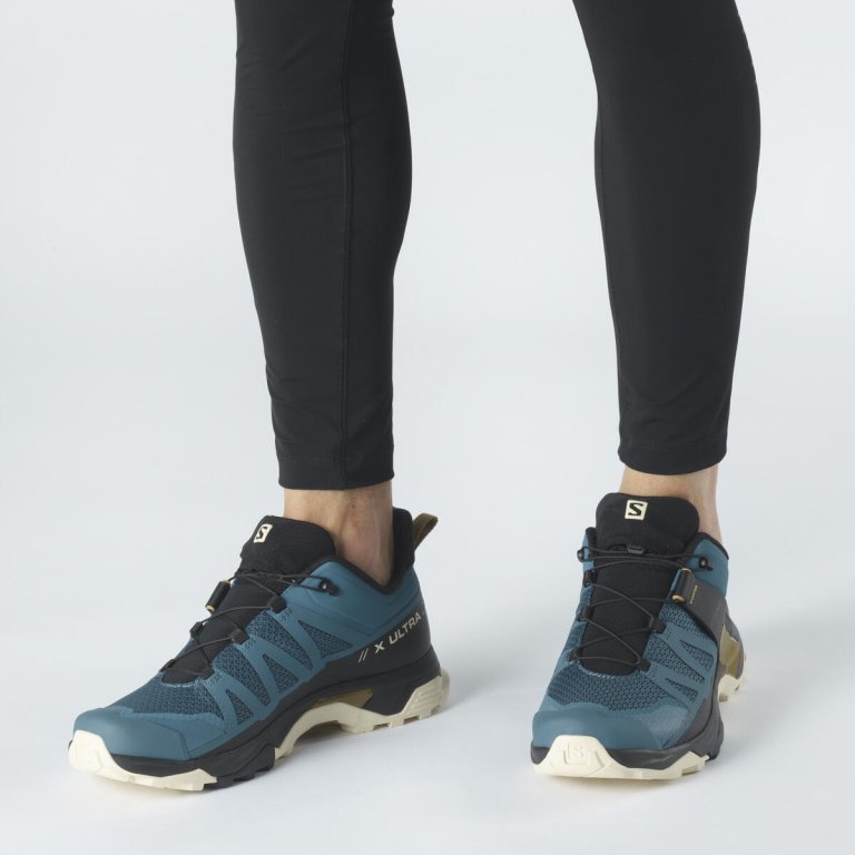 Кросівки Salomon X Ultra 4 M - сині