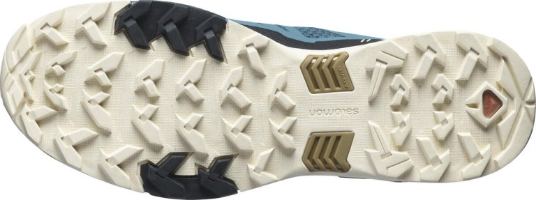 Кросівки Salomon X Ultra 4 M - сині