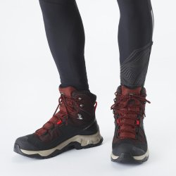Взуття Salomon QUEST ELEMENT GTX M - бордовий/чорний/коричневий