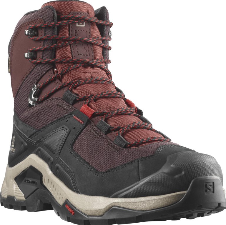 Взуття Salomon QUEST ELEMENT GTX M - бордовий/чорний/коричневий