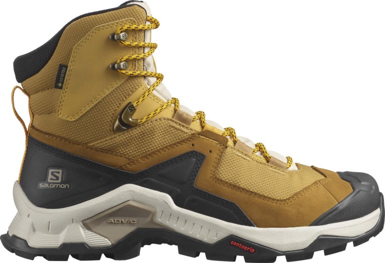 Взуття Salomon QUEST ELEMENT GTX M - коричневі/бежеві