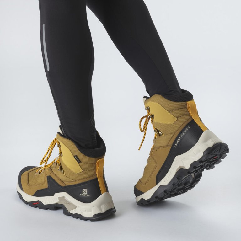 Взуття Salomon QUEST ELEMENT GTX M - коричневі/бежеві