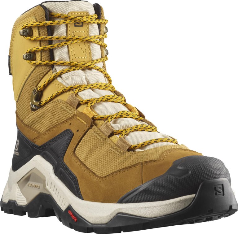 Взуття Salomon QUEST ELEMENT GTX M - коричневі/бежеві