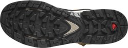 Взуття Salomon QUEST ELEMENT GTX M - коричневі/бежеві