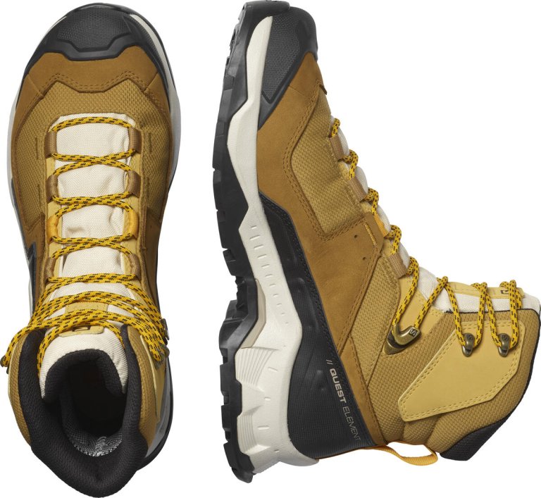 Взуття Salomon QUEST ELEMENT GTX M - коричневі/бежеві