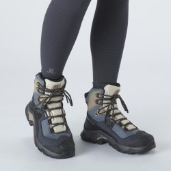 Взуття Salomon QUEST ELEMENT GTX W - чорне / сіре / бежеве