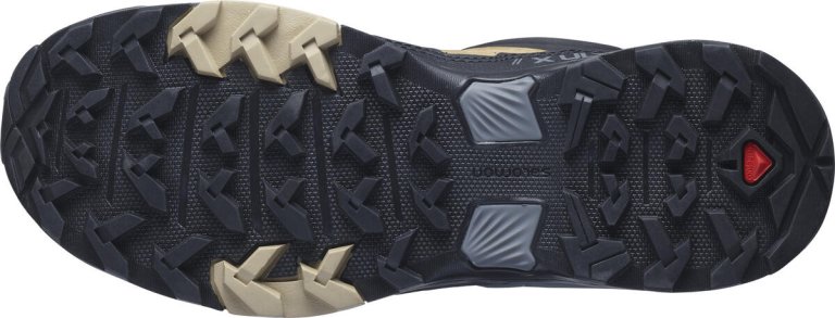 Кросівки Salomon X ULTRA 4 LTR GTX W - коричневі/чорні