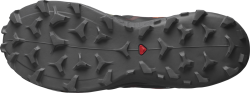 Obuv Salomon Wildcross 2 GTX M - zelená/černá/červená