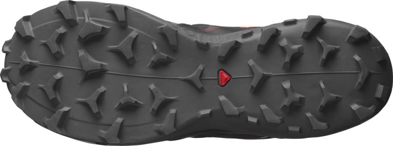 Obuv Salomon Wildcross 2 GTX M - zelená/černá/červená