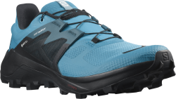Obuv Salomon Wildcross 2 GTX M - modrá/černá
