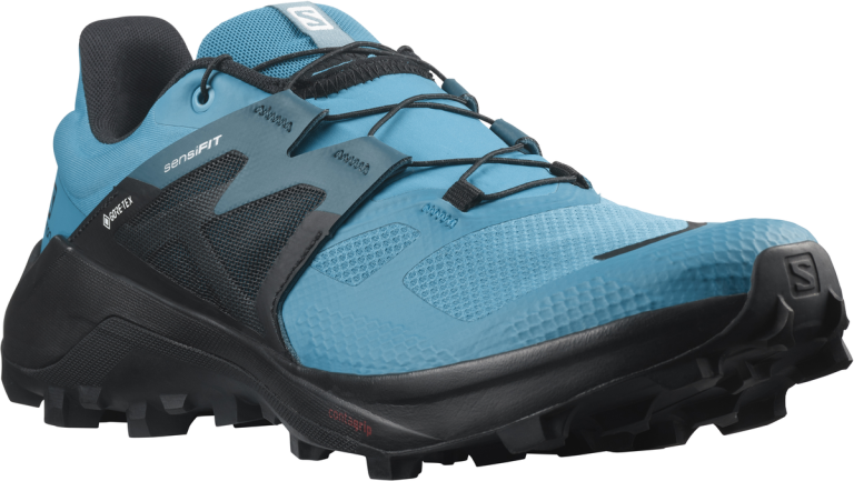 Obuv Salomon Wildcross 2 GTX M - modrá/černá