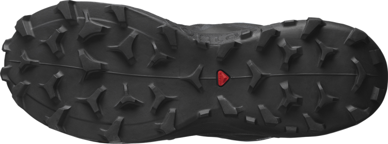 Obuv Salomon Wildcross 2 GTX M - modrá/černá