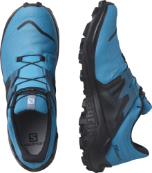 Obuv Salomon Wildcross 2 GTX M - modrá/černá