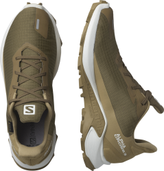 Obuv Salomon Alphacross 3 GTX M - hnědá/bílá