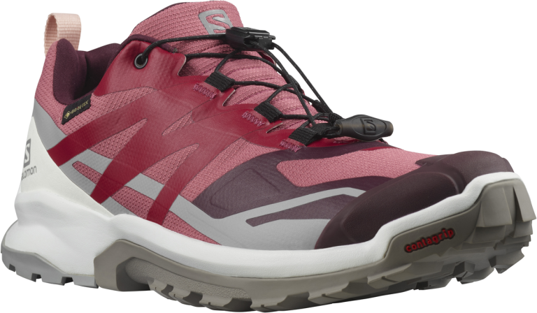 Взуття Salomon XA ROGG 2 GTX W - рожевий/білий
