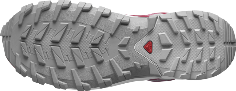 Взуття Salomon XA ROGG 2 GTX W - рожевий/білий