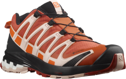 Кросівки Salomon Xa Pro 3D v8 GTX W - помаранчеві/бежеві