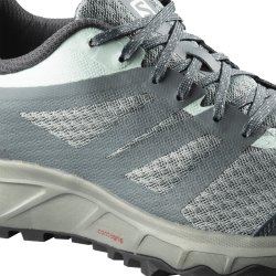Взуття Salomon TRAILSTER 2 W - сірий/синій