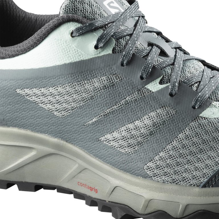 Взуття Salomon TRAILSTER 2 W - сірий/синій