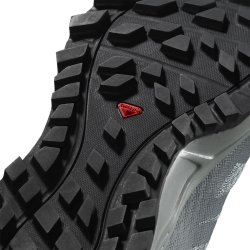 Взуття Salomon TRAILSTER 2 W - сірий/синій
