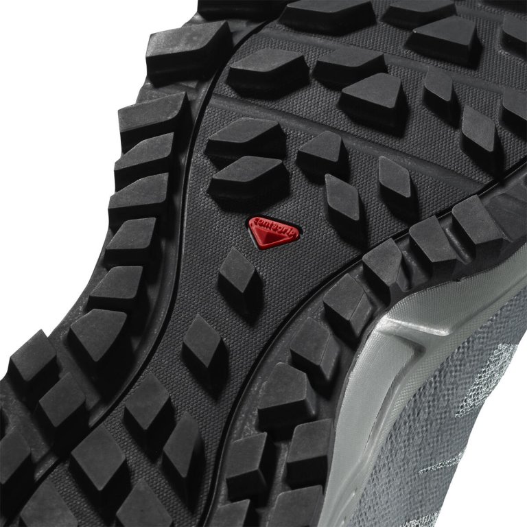 Взуття Salomon TRAILSTER 2 W - сірий/синій