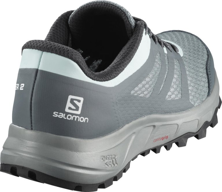 Взуття Salomon TRAILSTER 2 W - сірий/синій