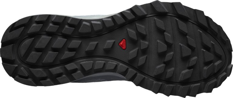 Взуття Salomon TRAILSTER 2 W - сірий/синій