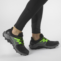 Obuv Salomon Wildcross 2 M - černá/šedá/zelená
