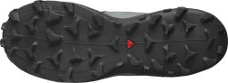 Obuv Salomon Wildcross 2 M - černá/šedá/zelená