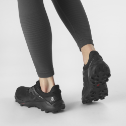 Obuv Salomon Wildcross 2 GTX W - černá