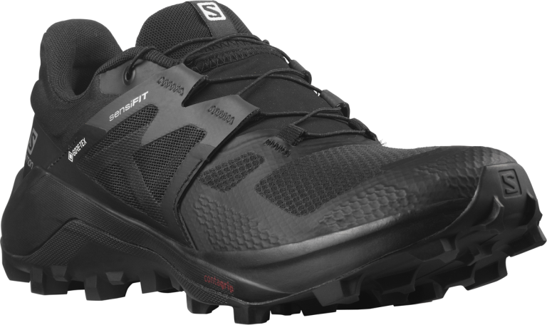 Obuv Salomon Wildcross 2 GTX W - černá