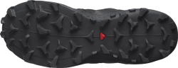 Obuv Salomon Wildcross 2 GTX W - černá