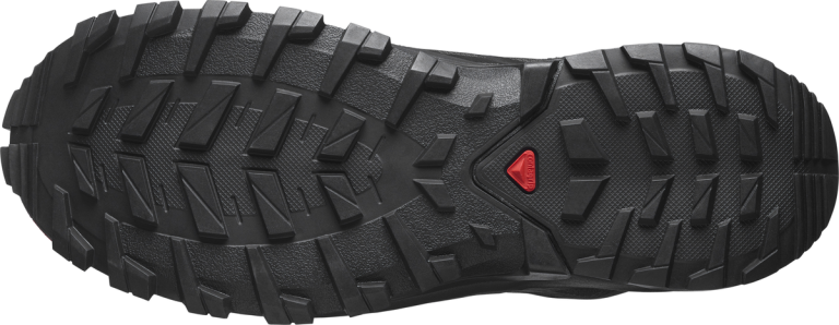 Взуття Salomon XA ROGG 2 GTX W - чорний