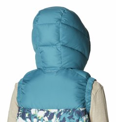 Жилет Columbia Pike Lake™ II Insulated Vest W - синій/білий