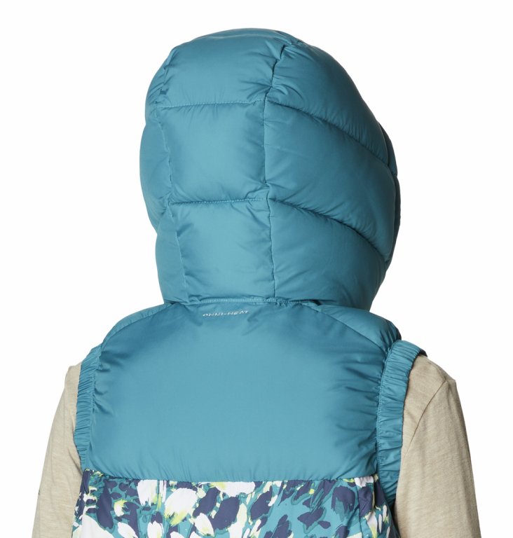 Жилет Columbia Pike Lake™ II Insulated Vest W - синій/білий