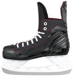 bauer 2