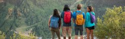Batoh Osprey Daylite Tote Pack - šedá