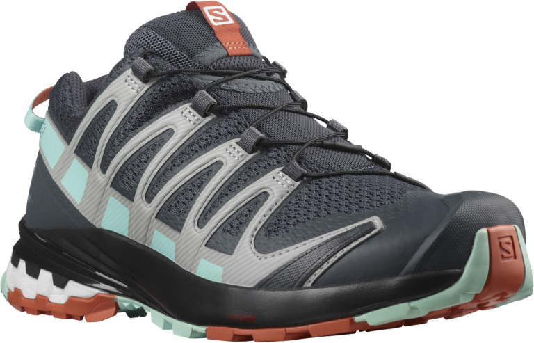 Кросівки Salomon XA PRO 3D V8 W - сірі/чорні/блакитні