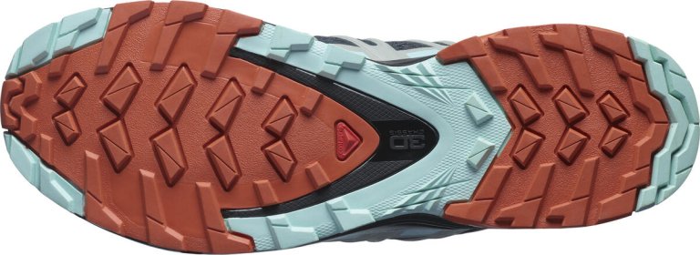 Кросівки Salomon XA PRO 3D V8 W - сірі/чорні/блакитні