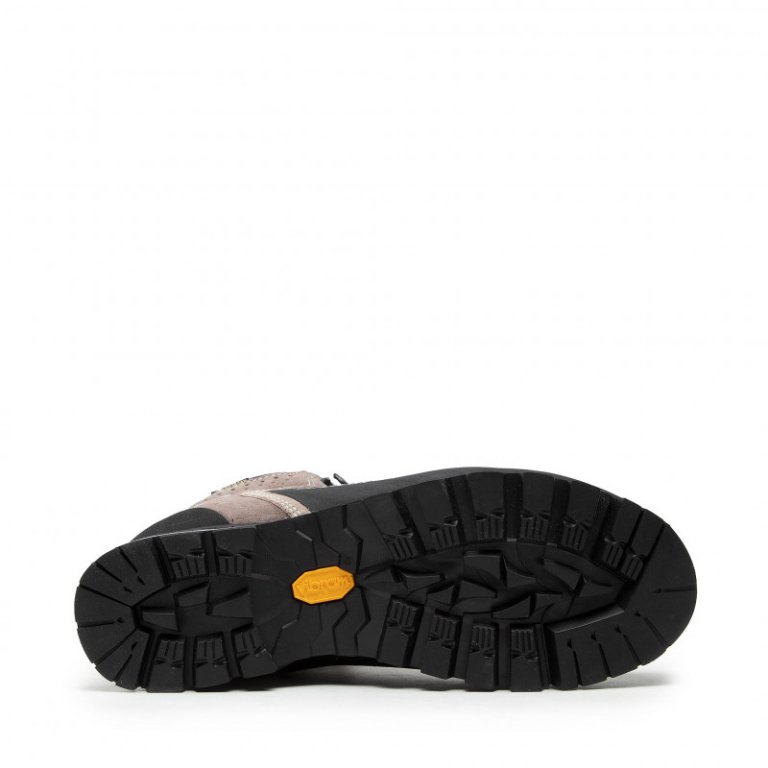 Взуття Garmont Vetta GTX W - сірий/бежевий