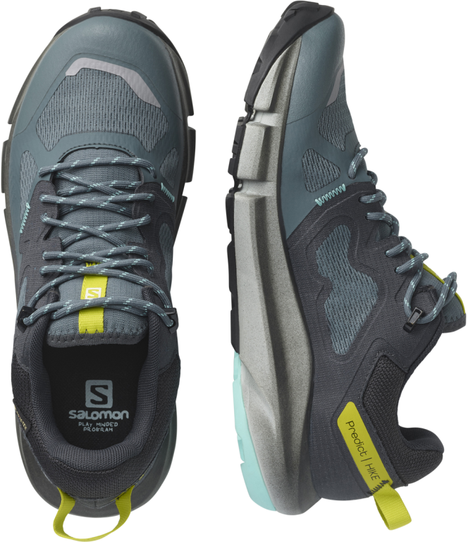 Взуття Salomon PREDICT HIKE GTX W - сірий/чорний/синій