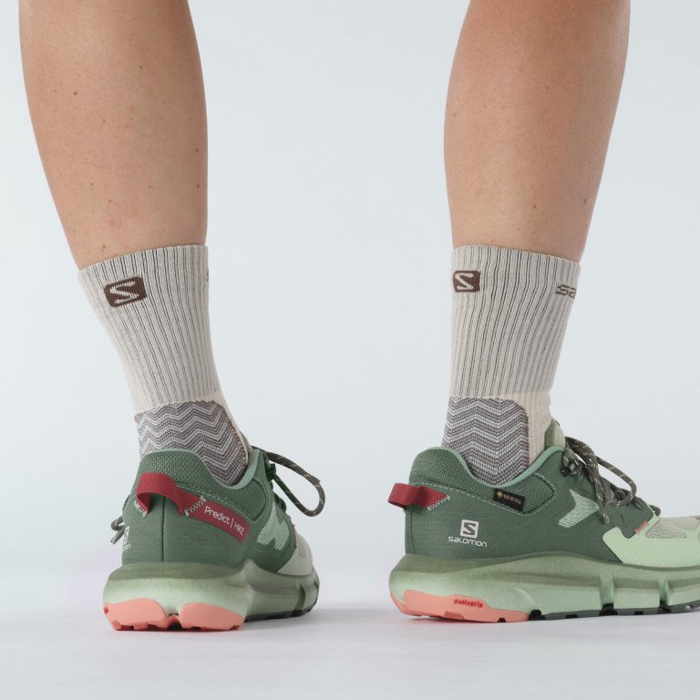 Взуття Salomon PREDICT HIKE GTX W - зелений